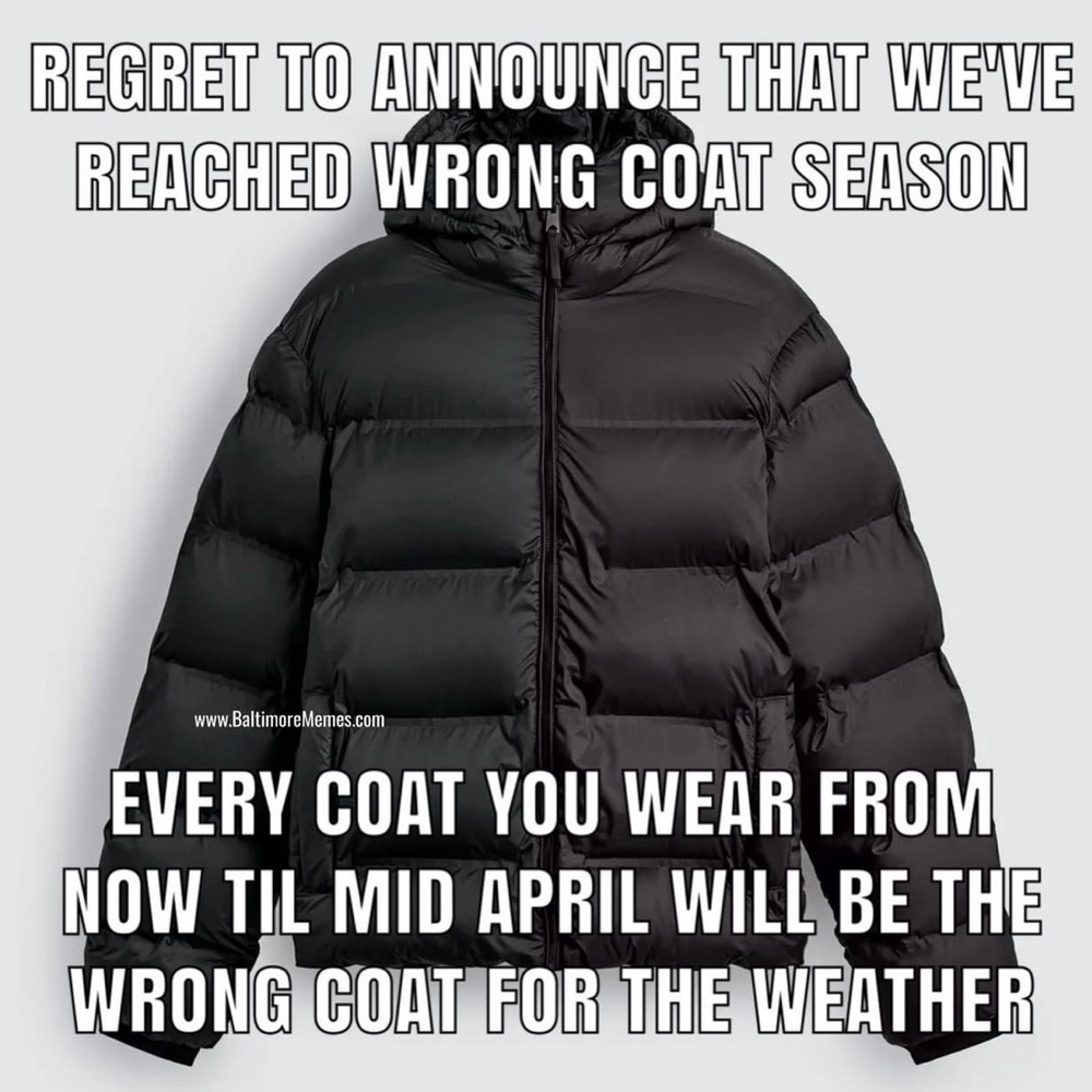 Jacket Section! - image 1